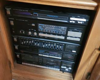 Panasonic System