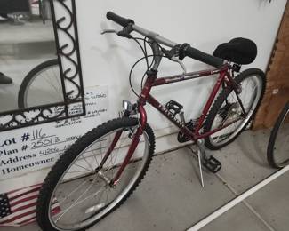 Thunder Mountain / Full Force Mountain Bike