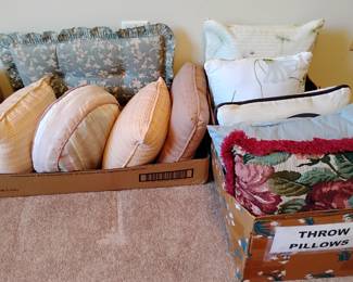 Variety of Throw Pillows