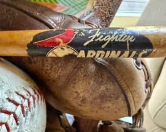 Sportsmans park bat
