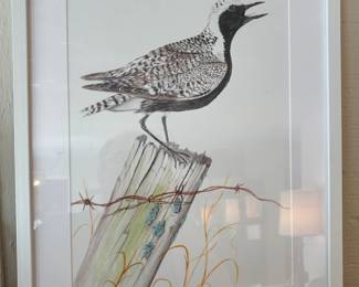 Framed Bird Art