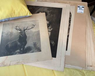 Posters