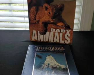 Disneyland And Baby Animals 