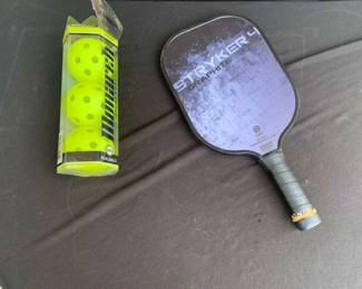 Onix Stryker 4 3 Indoor Pickleballs