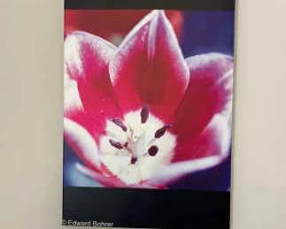  02 Vibrant Bloom On Canvas