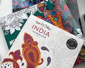 Vive Le Color India Adult Coloring Book 