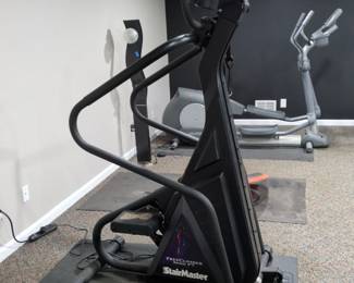 Stairmaster 4600PT