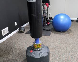 DripeX freestanding punching bag 