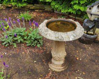 Bird bath and feeders