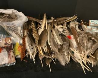 Mystery Lot of Feathers