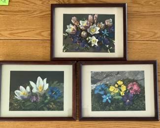 Vintage Floral Prints