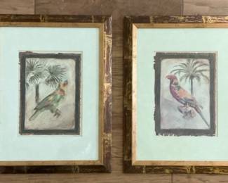 Parrot Picture Wall Hangings