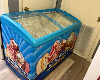 Blue bunny ice cream storage