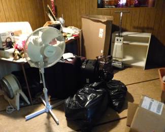 Misc basement, fan, luggage