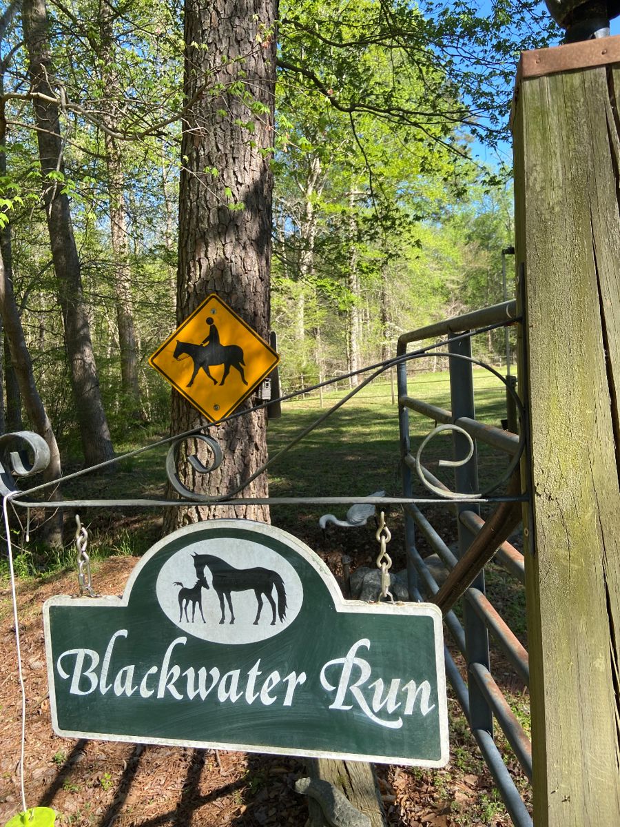 Blackwater Run Horse Farm in Surry County (please note that we will be working for a few weeks & the # of photos will grow!  Note: LOT Numbers are not necessarily in order)