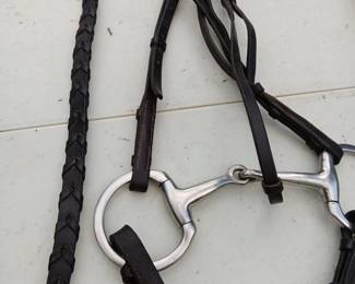Lot #174: headstall and bit, lead lines