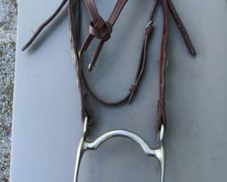 Lot #172: Headstall with silver tone detail and bit