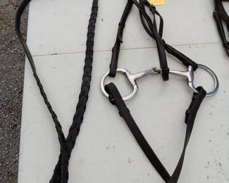 Lot #174: headstall and bit, lead lines