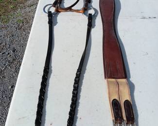 Lot #110: headstall with bit, leads, sash