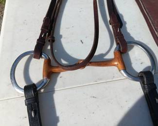 Lot #110: headstall with bit, leads, sash