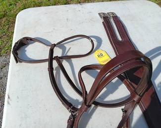 Lot #110: headstall with bit, leads, sash