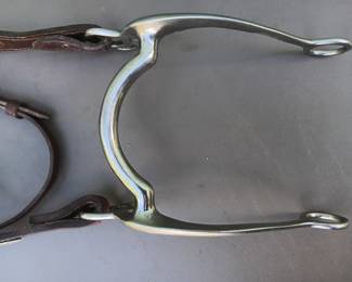 Lot #172: Headstall with silver tone detail and bit