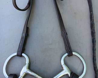 Lot #173: headstall, bit, lead lines