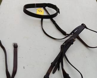 Lot #175: headstall and bit, lead lines
