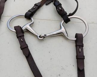 Lot #174: headstall and bit, lead lines