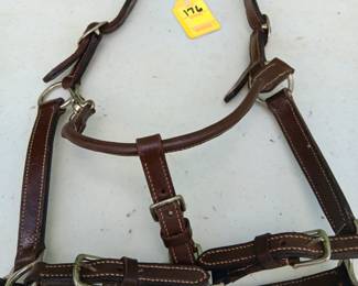 Lot #176: headstall, no brand