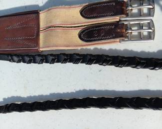 Lot #110: headstall with bit, leads, sash