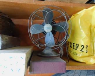 DSCN5453