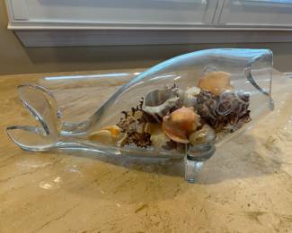 Glass fish