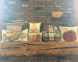 Thanksgiving and Fall pillows