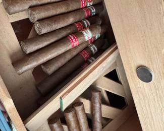 NewAir 250 count Electric cigar humidor with cigar collection