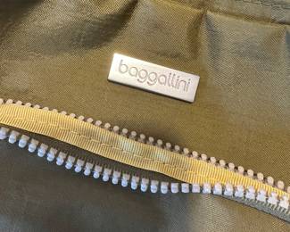 Baggallini bag
