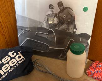 Batman and Robin picture