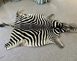 Genuine zebra skin in excellent condition.