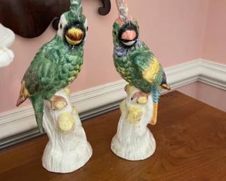Mottahedah cockatoos