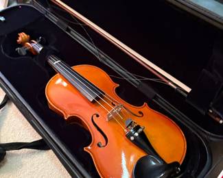 Violin