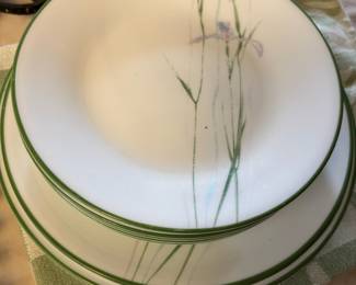 Corelle Vitrelle "Shadow Iris" Salad & Dinner Plates