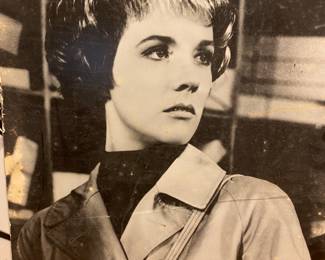 (POSTER) TORN CURTAIN 1966 STARRING: JULIE ANDREWS