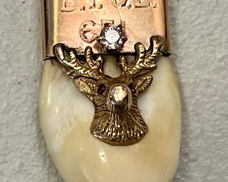 Elks tooth with 14K gold + diamond watch fob / pendant