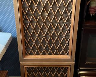 Pioneer floor speakers