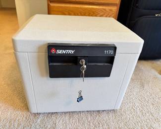 Sentry 1170 Safe