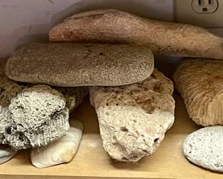 CORAL, ROCKS & SHELLS