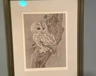 John S. Gibb Owl Lithograph Signed and Numbered 14/500