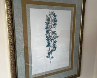 Botanical print