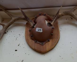 ANTLERS