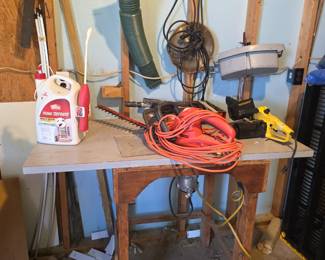 Shed in back of property